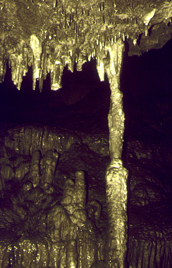 DIACLASE-GROTTE-OURS